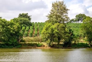 Day Tour to Fairview Coffee Estate From Nairobi