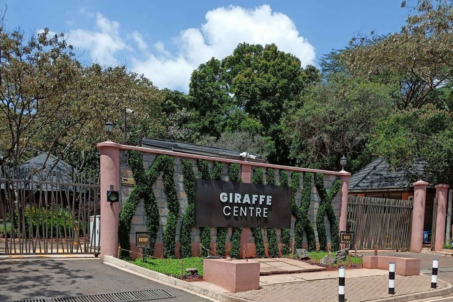 Day Tour to Giraffe Center and Karen Blixen Museum