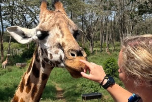 Dagstur till Giraffe Center och Karen Blixen Museum