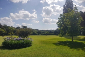 Dagstur till Giraffe Center och Karen Blixen Museum