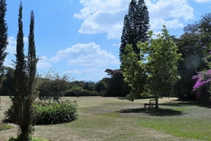 Dagstur till Giraffe Center och Karen Blixen Museum