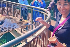 Dagstur till Giraffe Center och Karen Blixen Museum