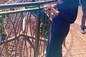 Dagstur till Giraffe Center och Karen Blixen Museum