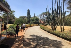 Dagstur till Giraffe Center och Karen Blixen Museum