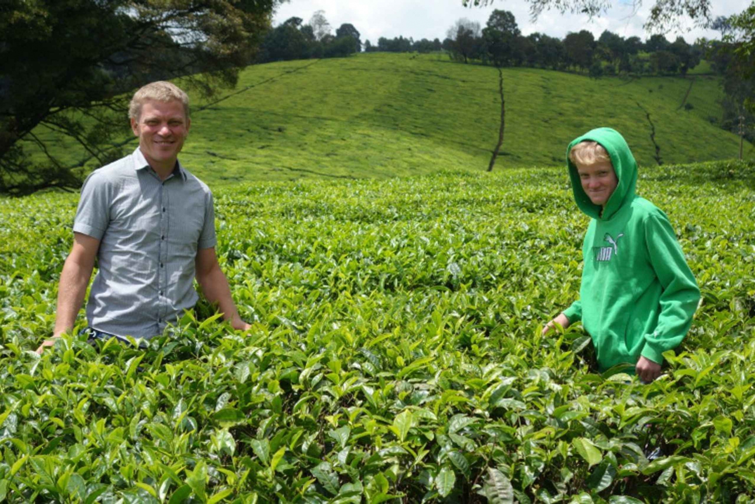 Day Tour to Kiambethu Tea Farm