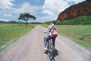 Excursion d'une journée au lac Naivasha et au parc Hells Gate depuis Nairobi