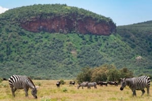 Excursion d'une journée au lac Naivasha et au parc Hells Gate depuis Nairobi
