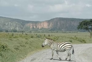 CAŁODNIOWA WYCIECZKA - JEZIORO NAIVASHA I PARK HELL'S GATE - Z OPŁATAMI ZA PARK