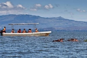 Day Tour to Lake Naivasha, Hell's Gate and Spa