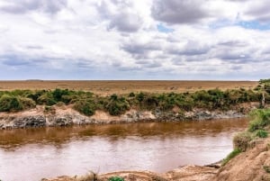 Dagtocht naar het Maasai Mara wildreservaat vanuit Nairobi