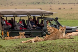 Jednodniowa wycieczka do rezerwatu dzikich zwierząt Maasai Mara z Nairobi.