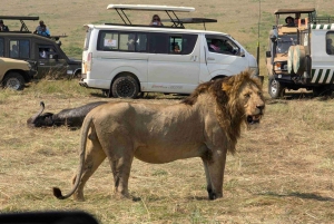 Jednodniowa wycieczka do rezerwatu dzikich zwierząt Maasai Mara z Nairobi.