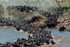 Jednodniowa wycieczka do rezerwatu dzikich zwierząt Maasai Mara z Nairobi.
