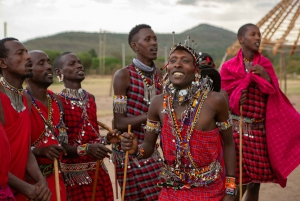 Day Tour to Masai Village From Nairobi