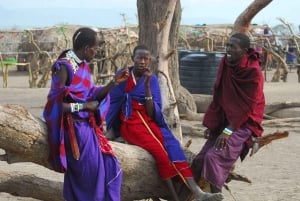 Day Tour to Masai Village From Nairobi