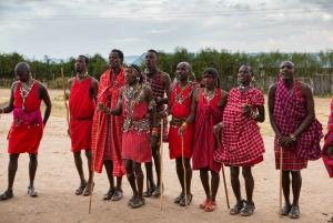 Day Tour to Masai Village From Nairobi