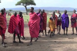 Päiväretki Masai-kylään Nairobista käsin