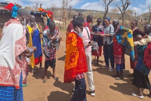 Dagstur til masailandsbyen fra Nairobi