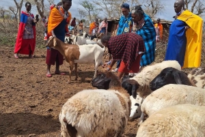 Dagstur til masailandsbyen fra Nairobi