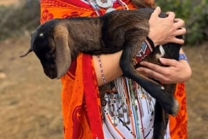 ナイロビ発マサイ村への日帰りツアー