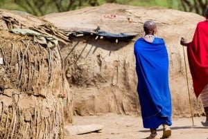 ナイロビ発マサイ村への日帰りツアー