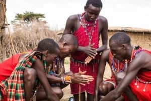 ナイロビ発マサイ村への日帰りツアー