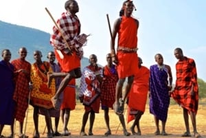 ナイロビ発マサイ村への日帰りツアー