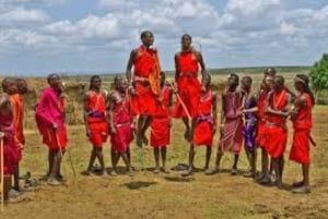 ナイロビ発マサイ村への日帰りツアー