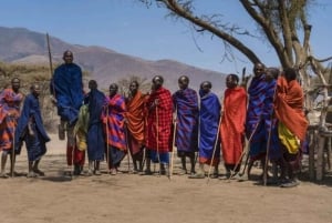 ナイロビ発マサイ村への日帰りツアー