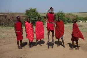 ナイロビ発マサイ村への日帰りツアー