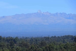 Day Tour To Mount Kenya From Nairobi