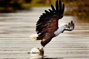 Päiväretki Mount Longonotin puistoon Nairobista käsin