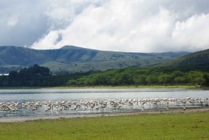 Päiväretki Mount Longonotin puistoon Nairobista käsin