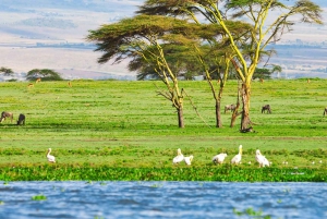 Day tour to Mount Longonot