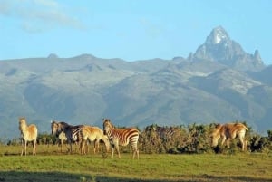Tour di un giorno al Monte Kenya