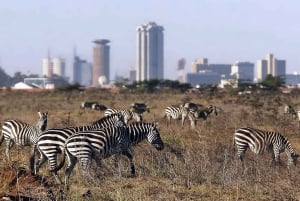 Päiväretki Nairobin puistoon, norsuprojektiin ja Giraffe-keskukseen.