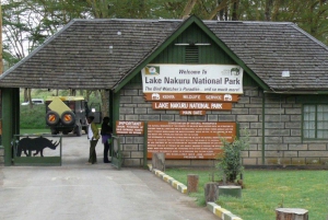 Day Tour to Nakuru National Park