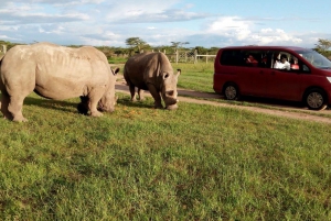 Excursión de un día a Ol Pejeta Conservancy desde Nairobi