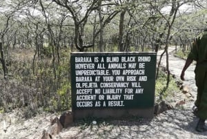 Day Tour To Ol Pejeta Conservancy From Nairobi