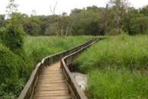 Dagstur till Saiwa Swamp National Park från Kitale