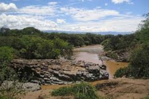Dagstur till Saiwa Swamp National Park från Kitale