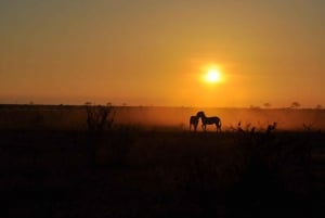 Однодневный тур в Восточный национальный парк Цаво из Малинди/Ватаму