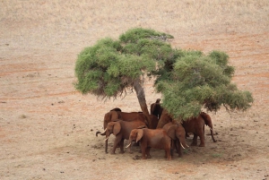 DAY TOUR TO TSAVO EAST NATIONAL PARK FROM MOMBASA/DIANI