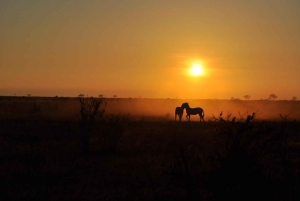 DAY TOUR TO TSAVO EAST NATIONAL PARK FROM MOMBASA/DIANI