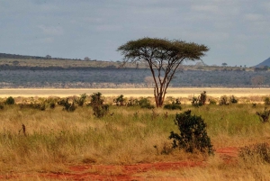 DAY TOUR TO TSAVO EAST NATIONAL PARK FROM MOMBASA/DIANI