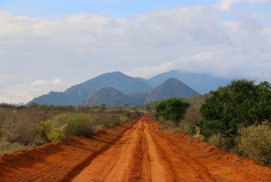 DAY TOUR TO TSAVO EAST NATIONAL PARK FROM MOMBASA/DIANI
