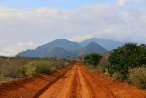 Day tour to Tsavo East National Park from Mombasa or Diani