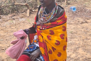 Excursão de um dia à vila masai saindo de Nairobi