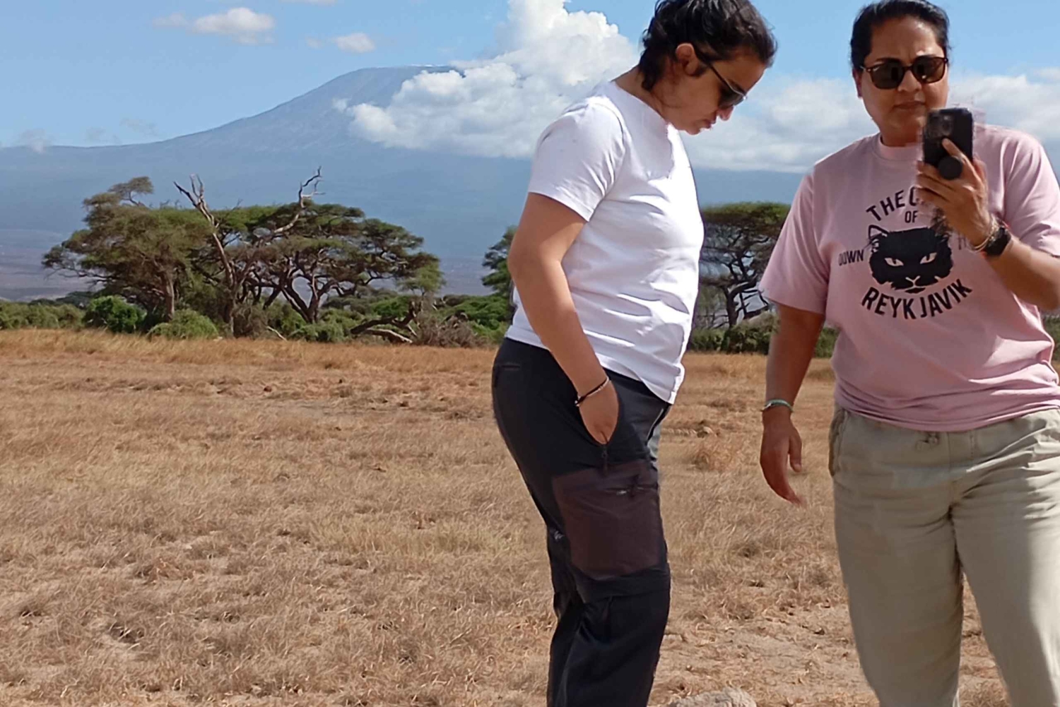 DAGSTUR AMBOSELI NASJONALPARK FRA NAIROBI BUDSJETT SAFARI