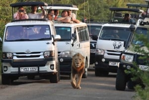 DAY TRIP AMBOSELI NATIONAL PARK FROM NAIROBI BUDGET SAFARI.